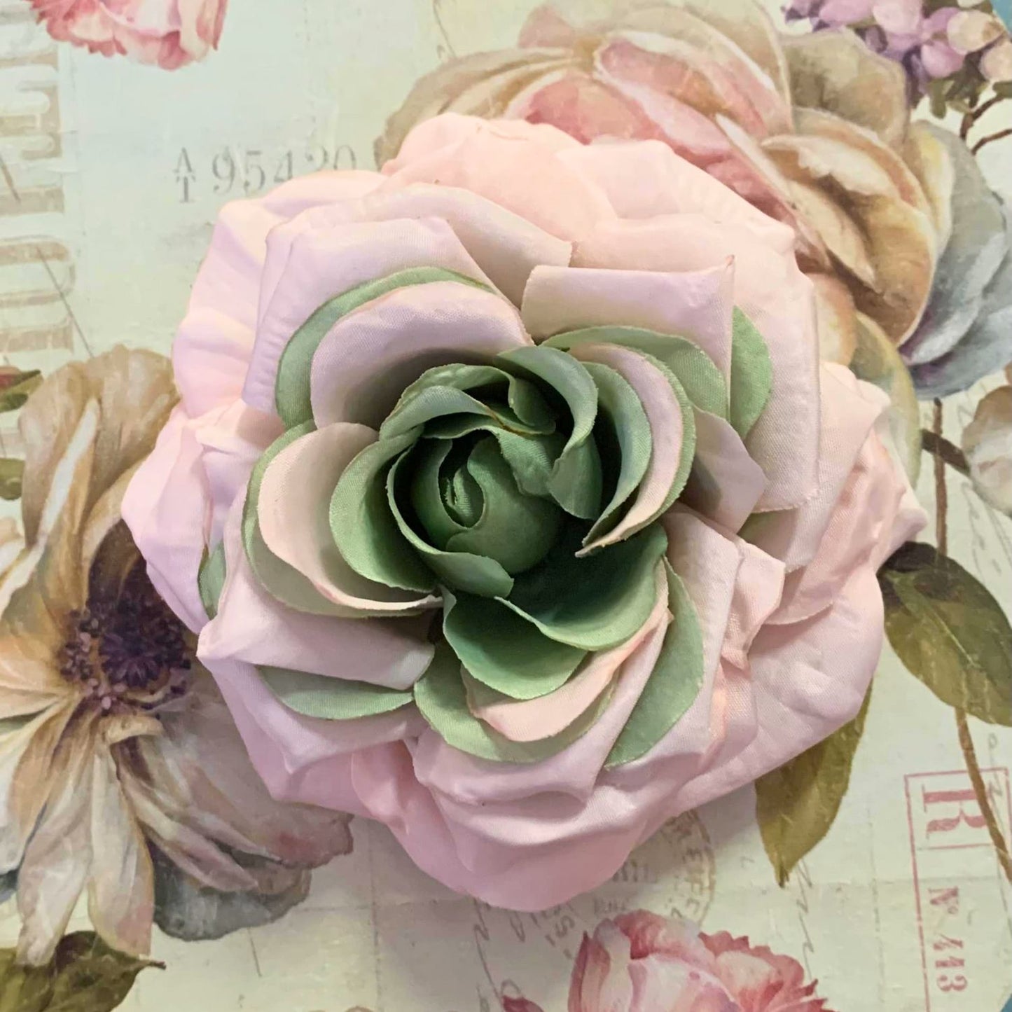 The Rose Collection