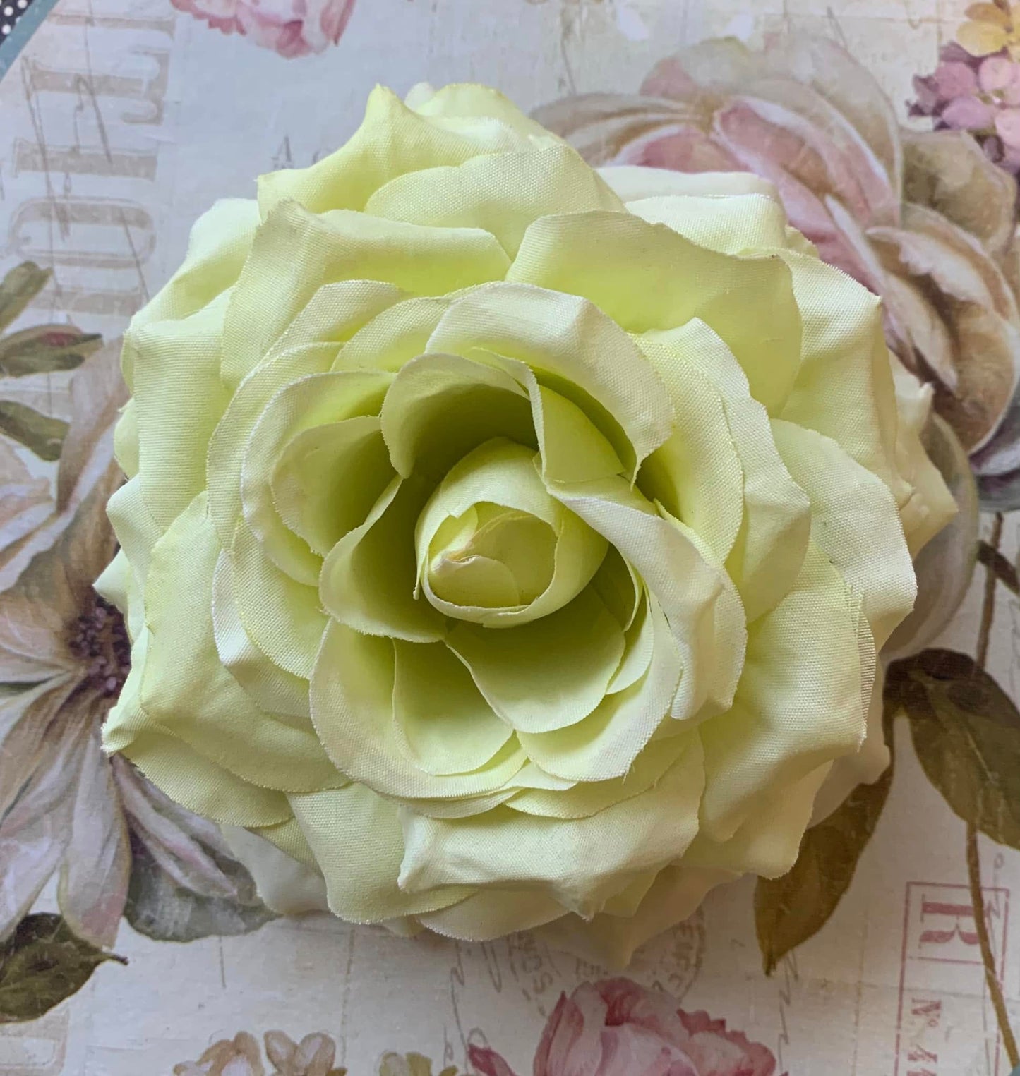 The Rose Collection