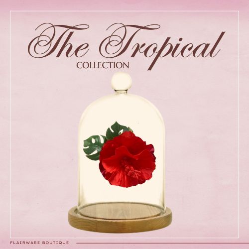 The Tropical Collection