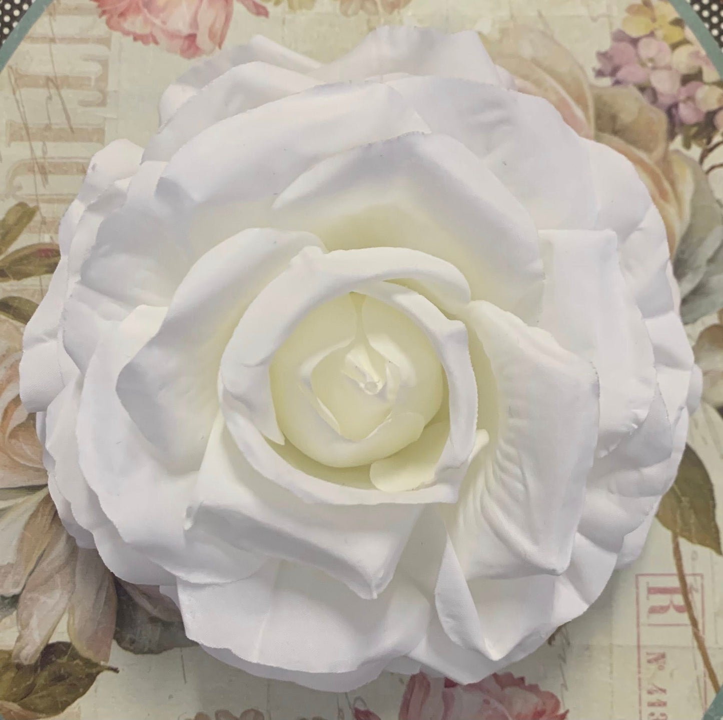 The Rose Collection