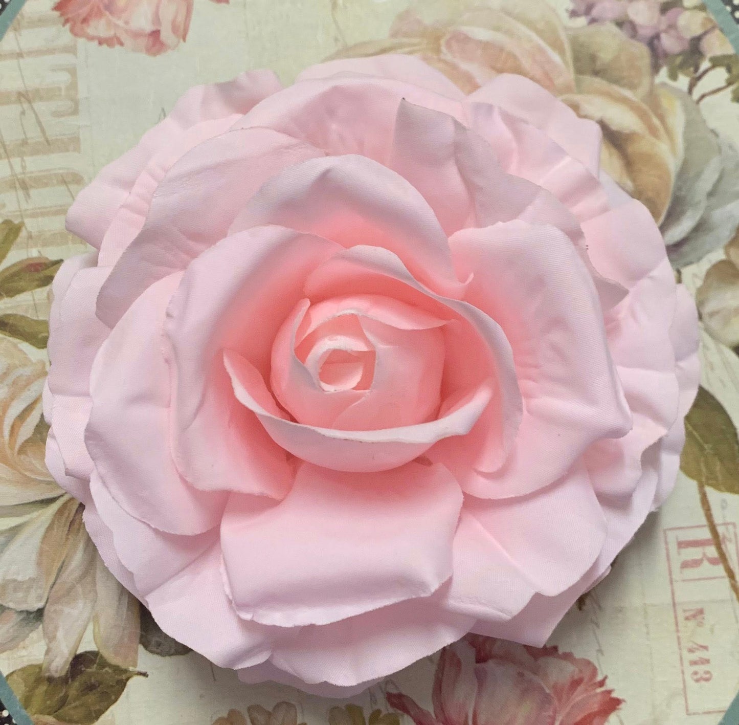 The Rose Collection