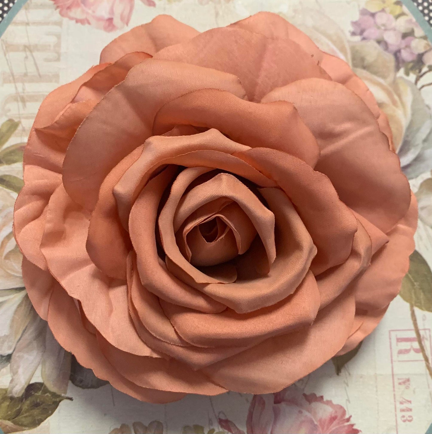 The Rose Collection