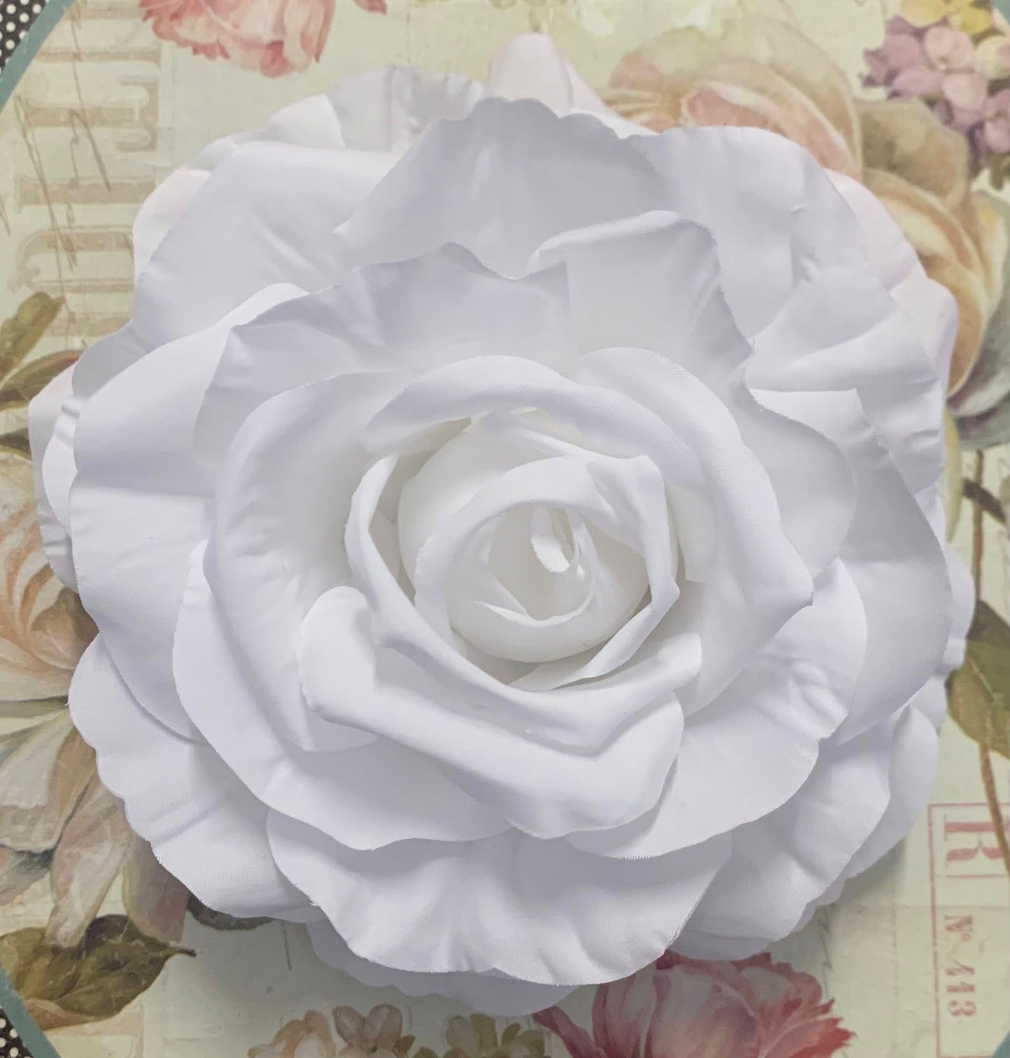 The Rose Collection