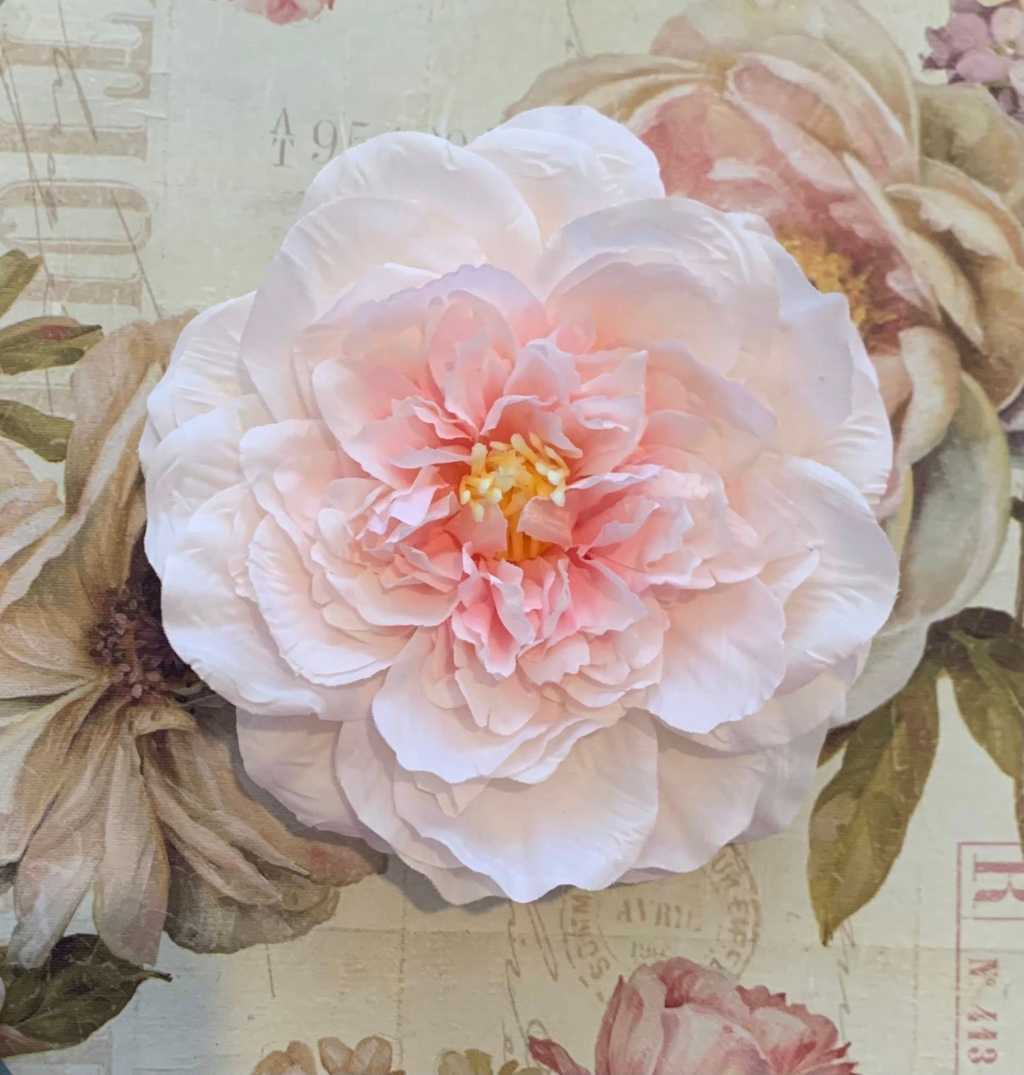 The Peony Collection