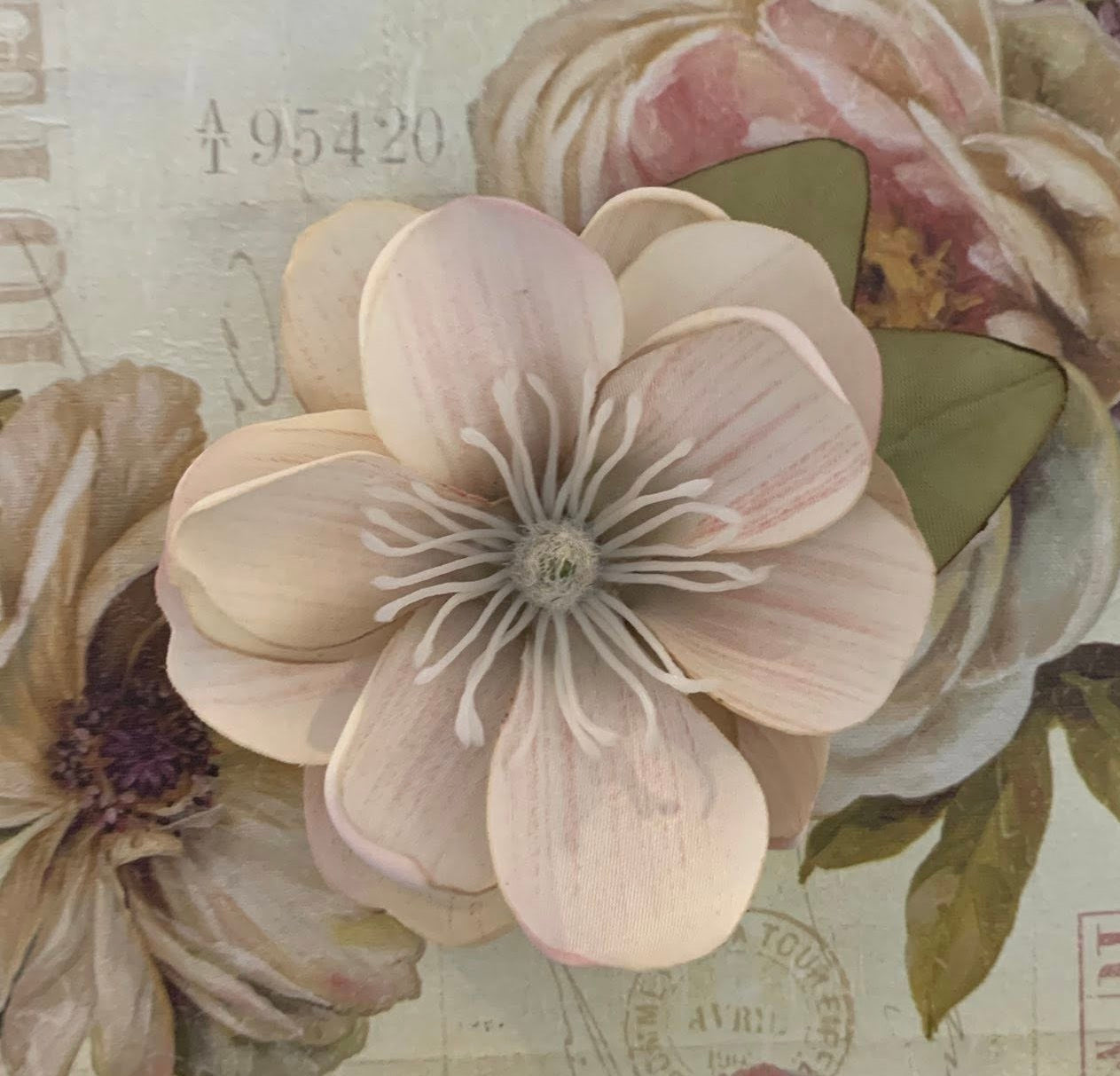 The Magnolia Collection