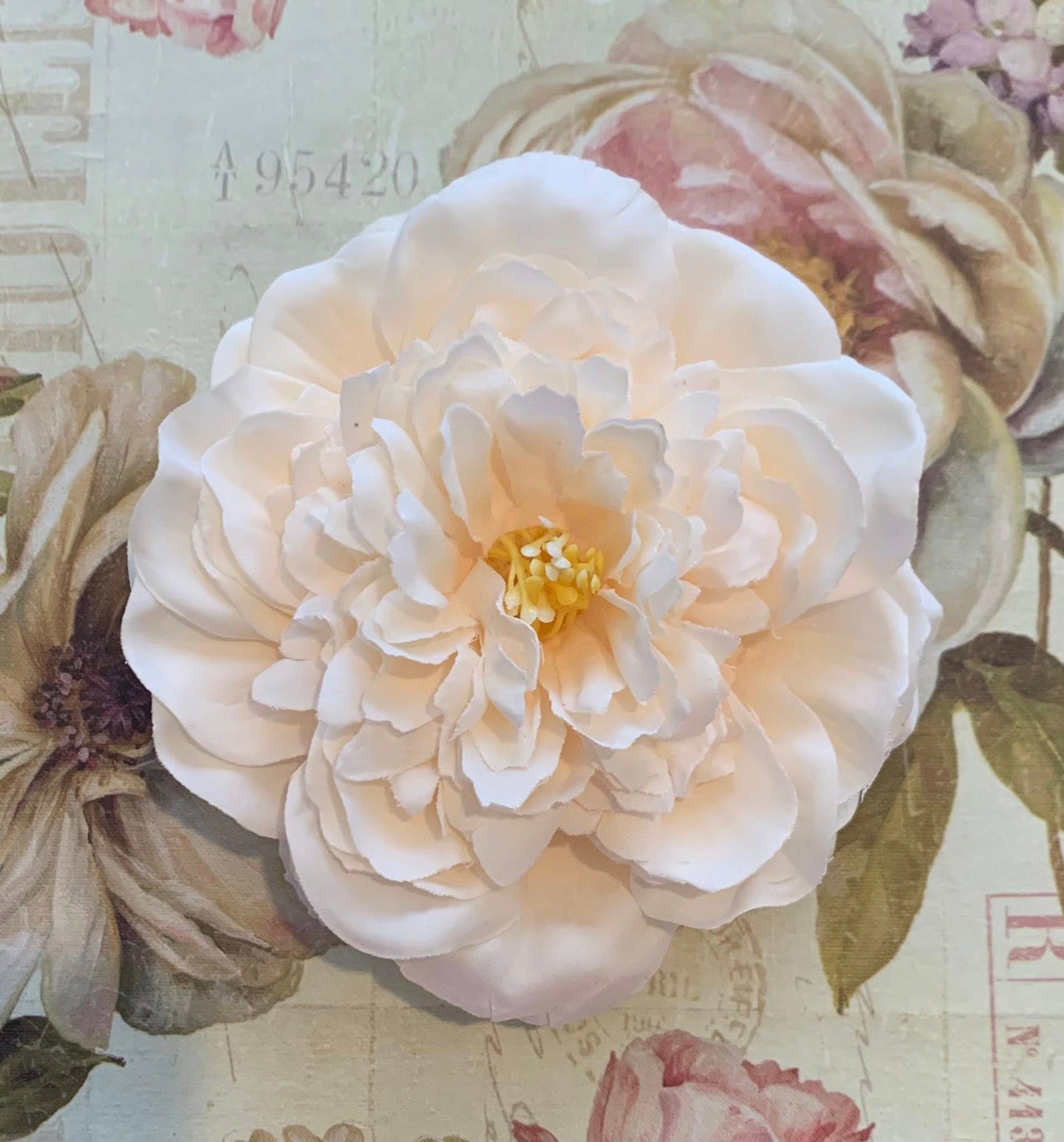 The Peony Collection