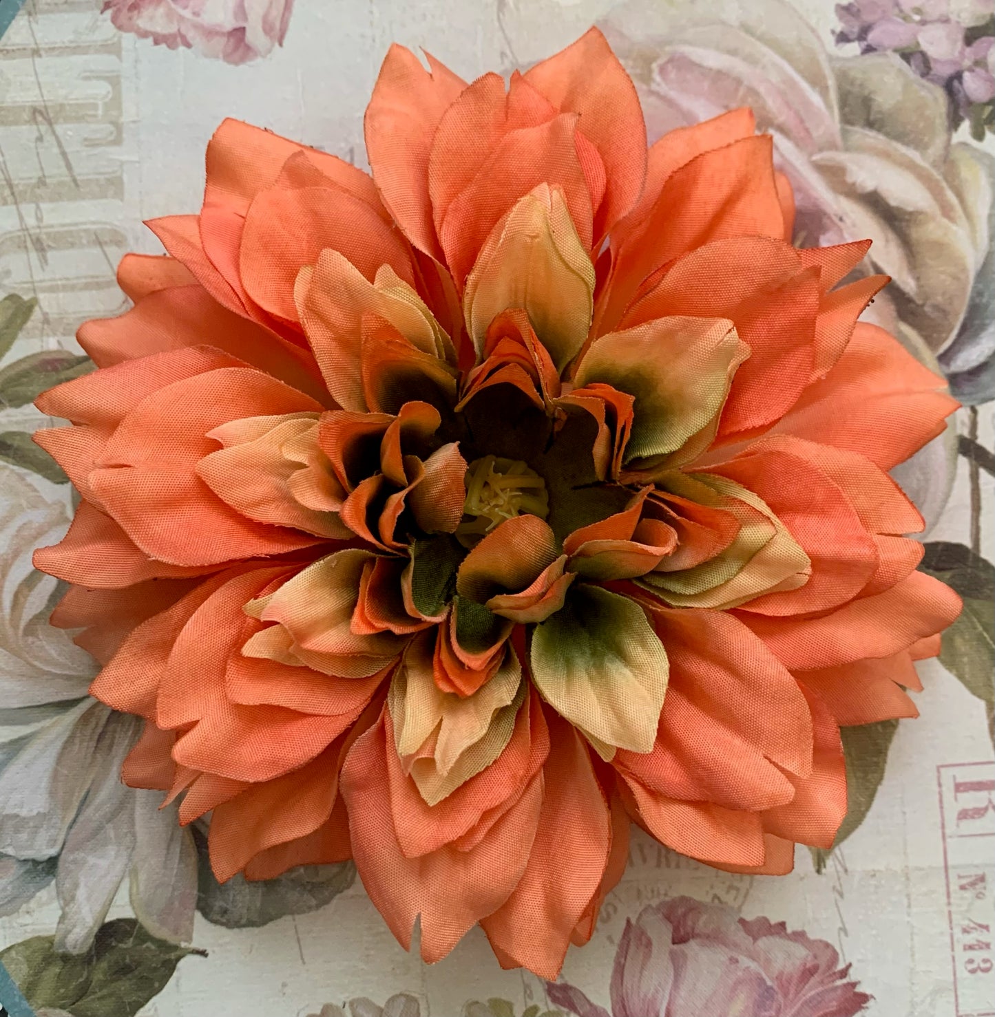 The Dahlia Collection