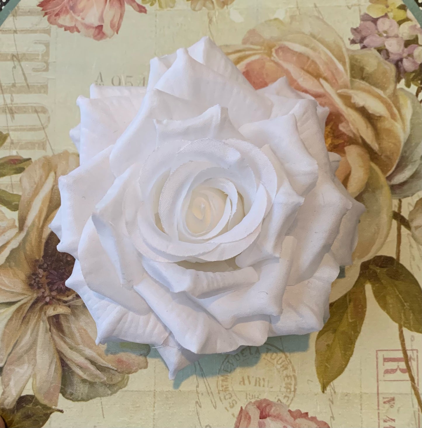 The Rose Collection