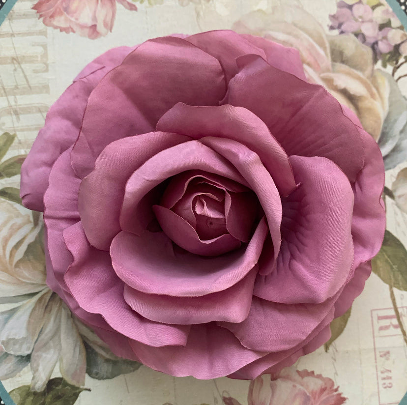 The Rose Collection