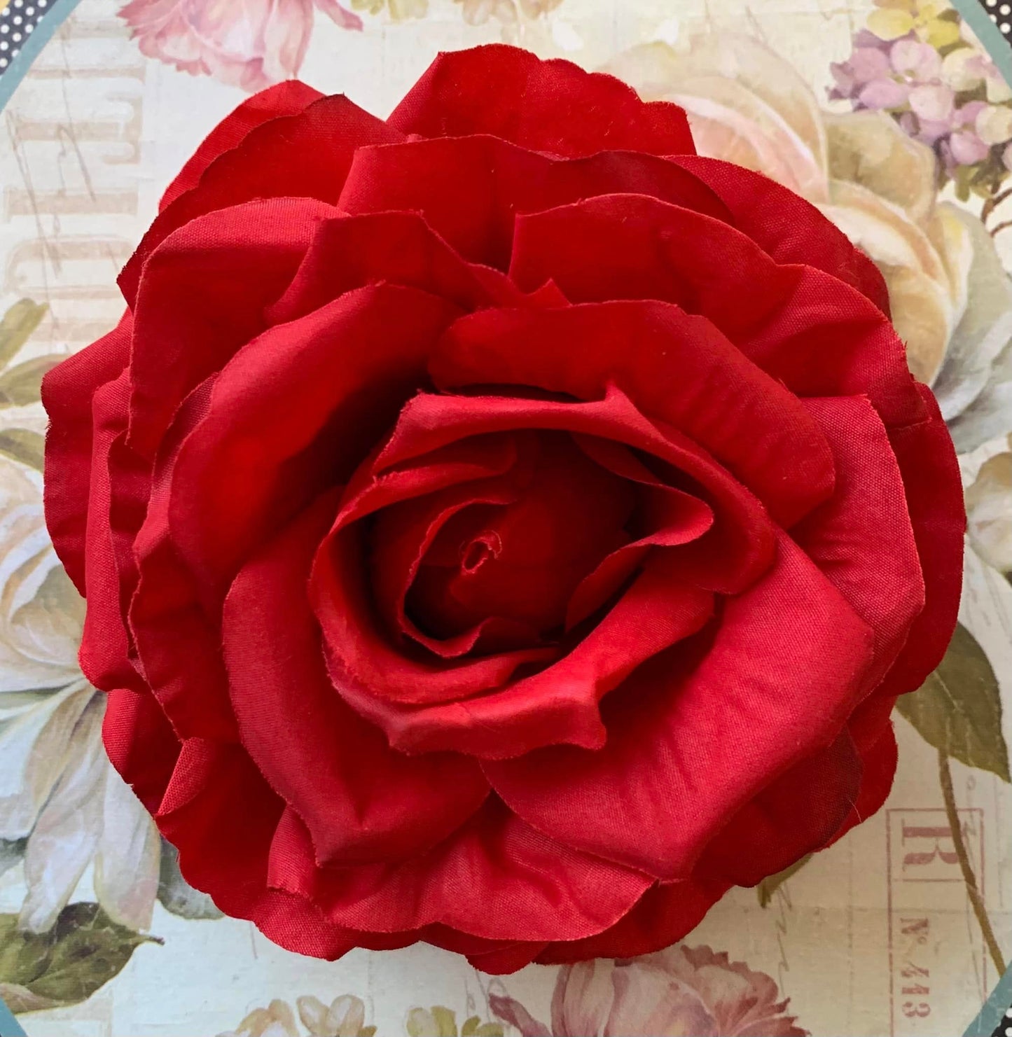 The Rose Collection