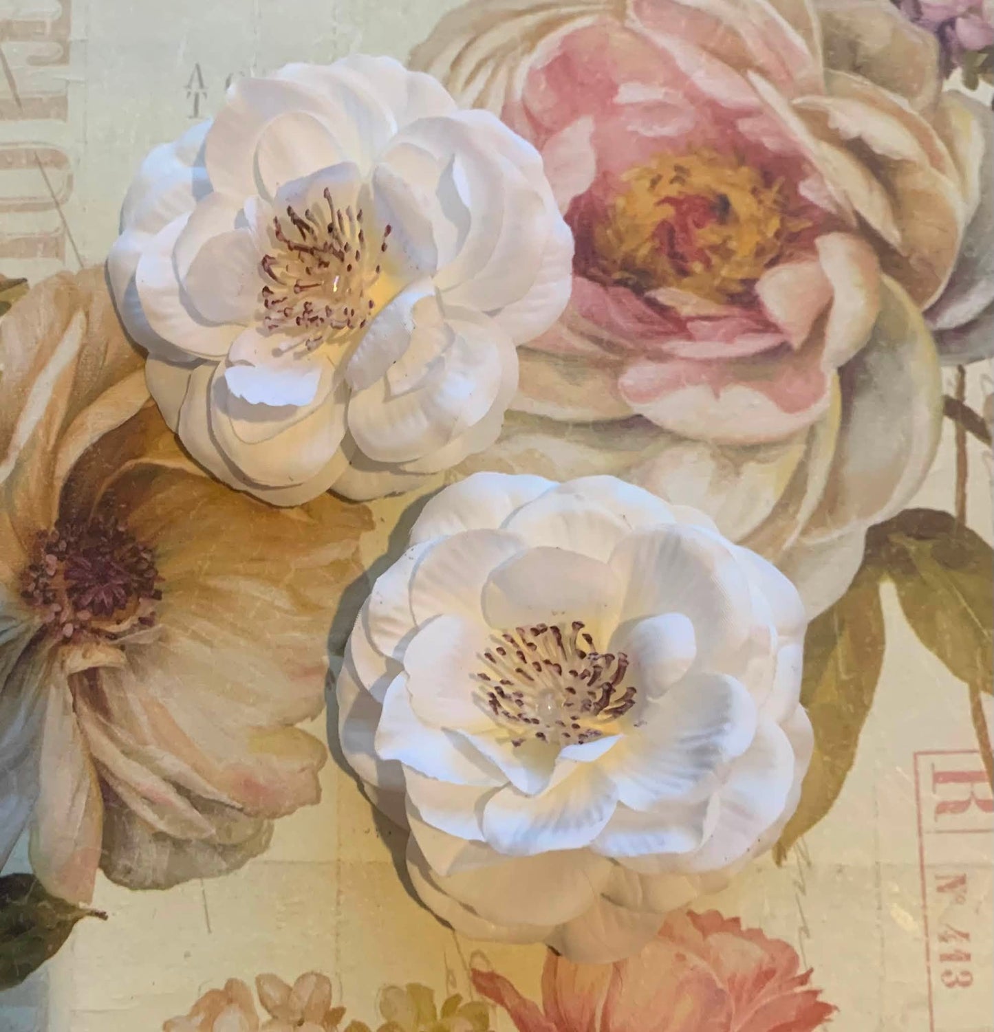Small & Mini Flower Collection