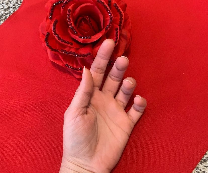 The Hands of an Artist