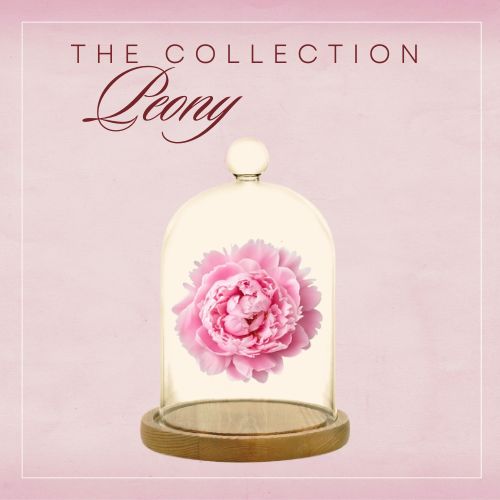 The Peony Collection