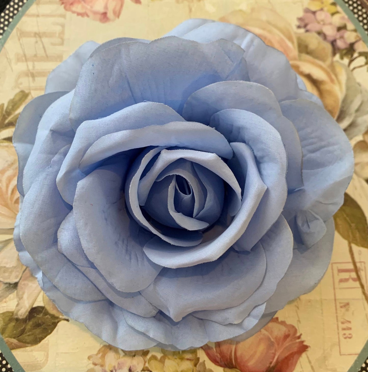 The Rose Collection