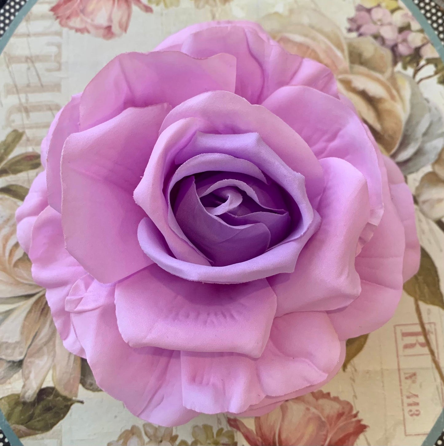 The Rose Collection