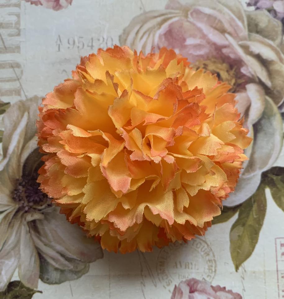 The Carnation Collection