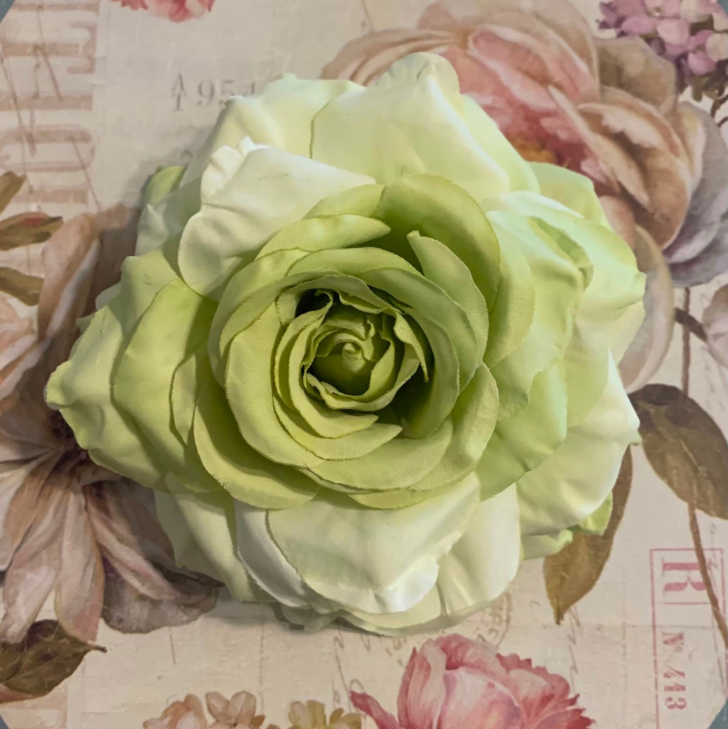 The Rose Collection