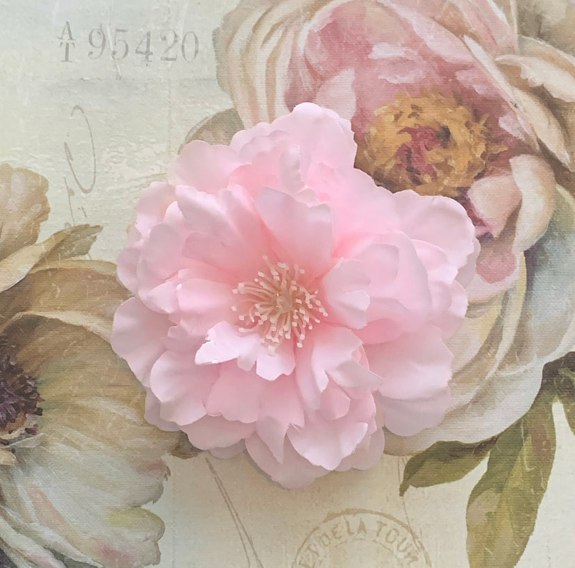 Small & Mini Flower Collection