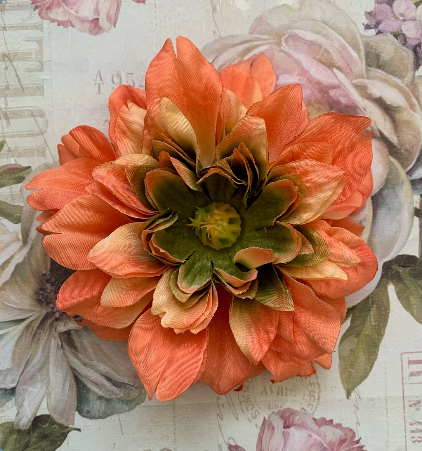 The Dahlia Collection