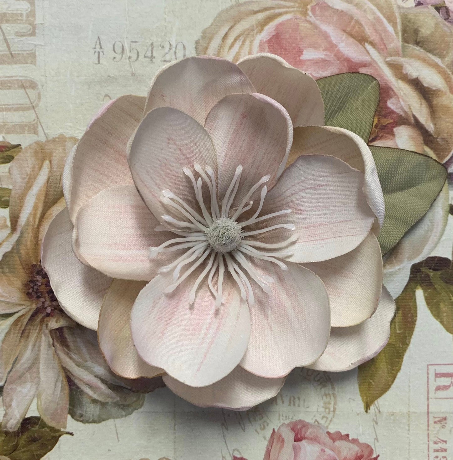 The Magnolia Collection