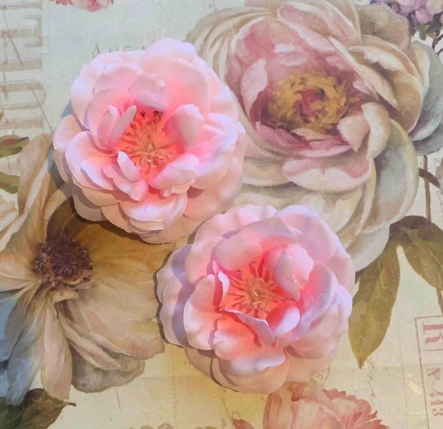 Small & Mini Flower Collection
